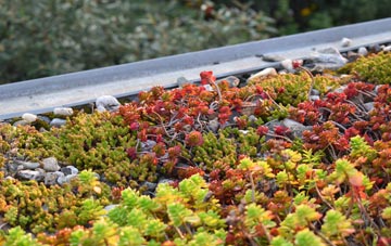 the cost of Down Park green roof installation