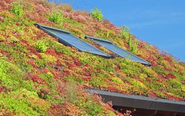 Down Park living roof systems