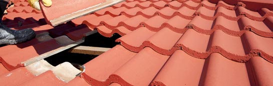 compare Down Park roof repair quotes