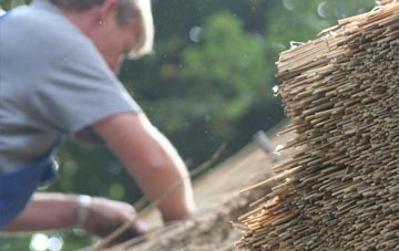 professional Down Park thatchers