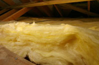 Down Park pitch roof insulation